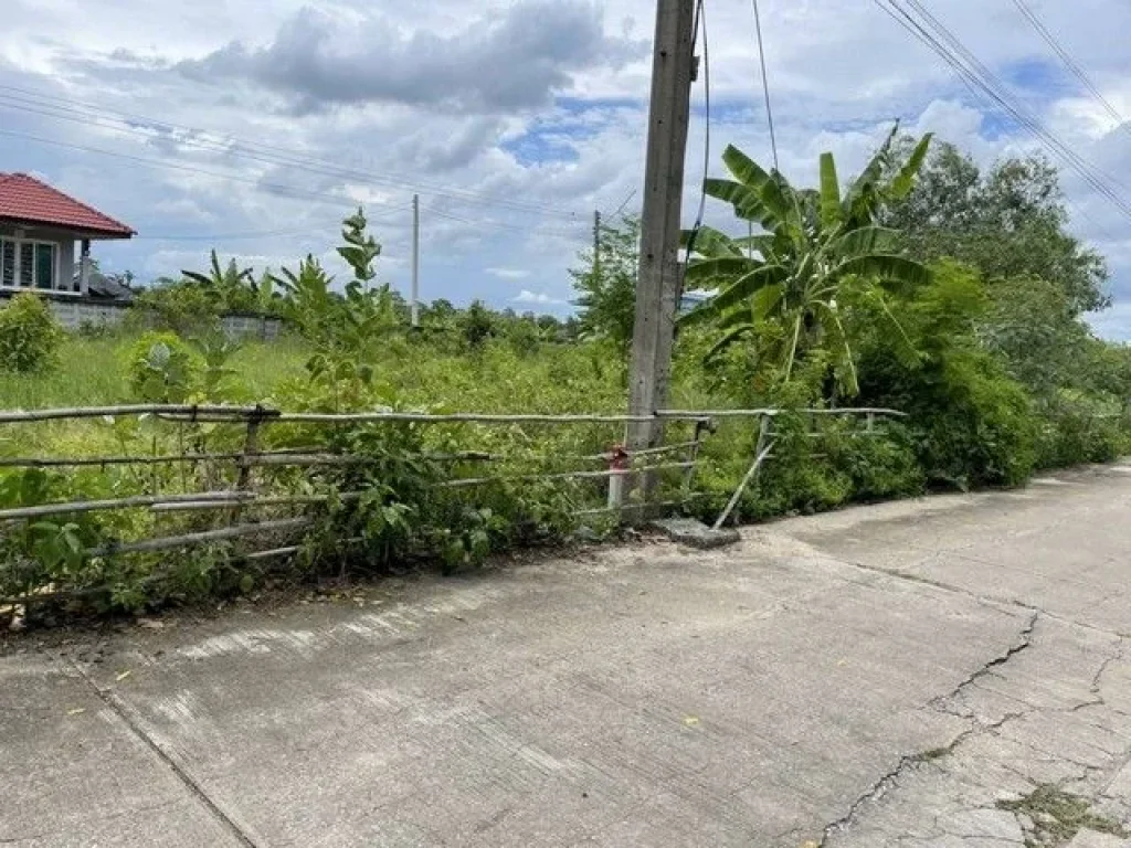 ที่ดิน บ้านสวนศรีปทุม คลอง11 อหนองเสือ จปทุมธานี