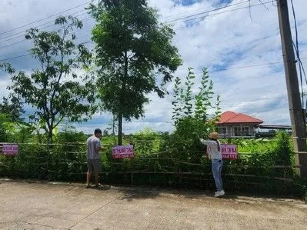 ที่ดิน บ้านสวนศรีปทุม คลอง11 อหนองเสือ จปทุมธานี