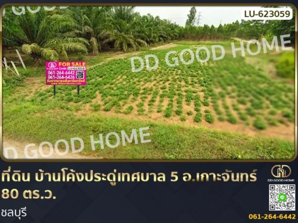 ที่ดิน บ้านโค้งประดู่เทศบาล 5 อเกาะจันทร์ 80 ตรว ชลบุรี