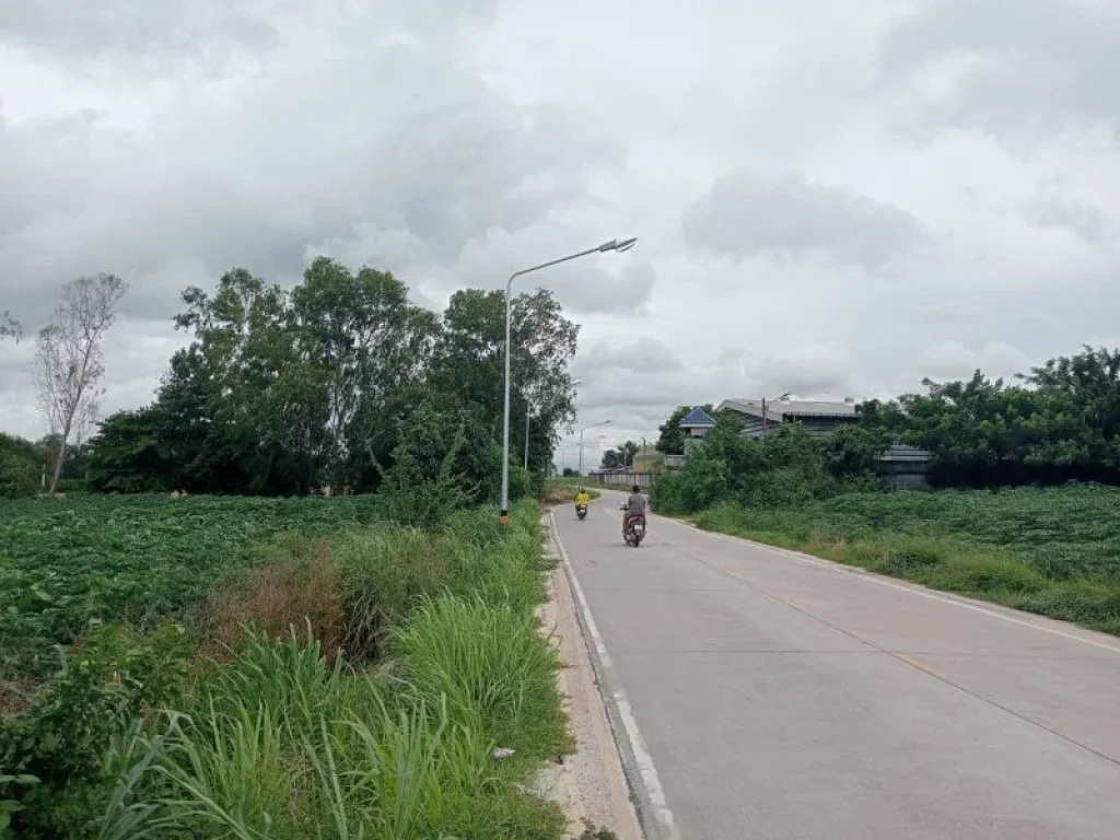 ขายที่ดินระยอง ห้วยโป่ง 25 ไร่ ติดถนนสุขุมวิท 19