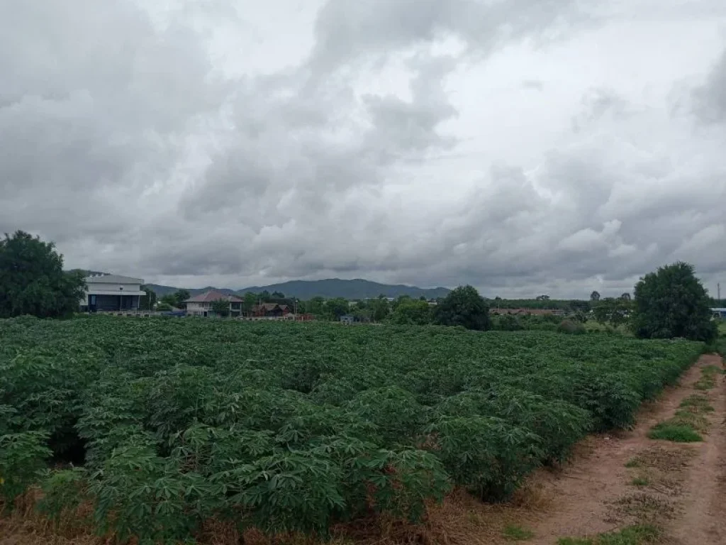 ขายที่ดินระยอง ห้วยโป่ง 25 ไร่ ติดถนนสุขุมวิท 19