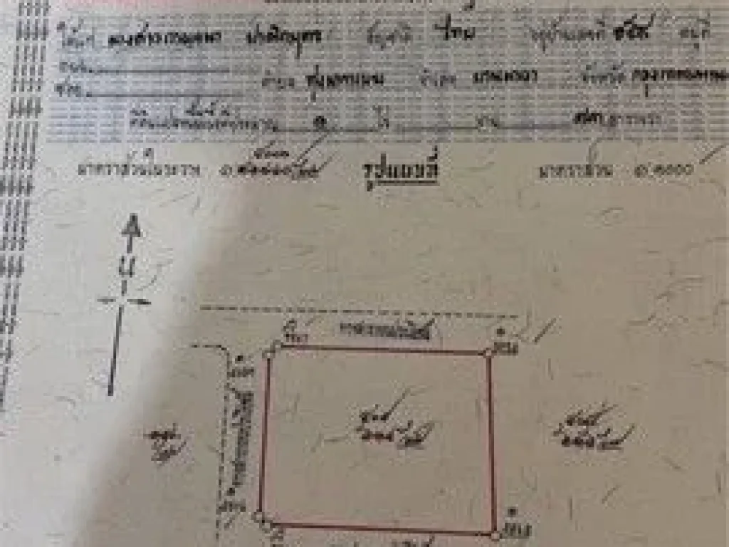 ขายที่ 473 ตรว คลองหกตะวันตก 13 อคลองหลวง ทำเลดี