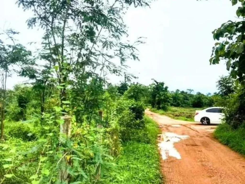 ที่ดินเปล่า ในเขต อเมืองอุตรดิตถ์ ราคาถูก