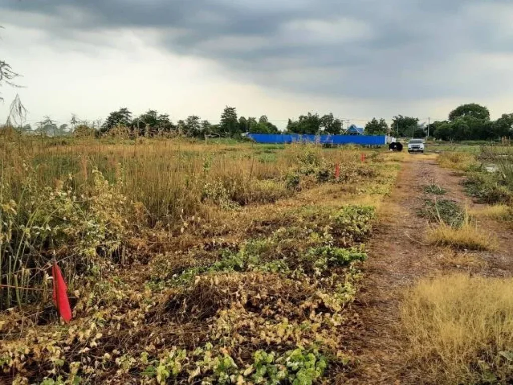 ขายที่ดินบ้านนา โยธาธิการ100 ตรว ผ่อนได้ทนครนายก