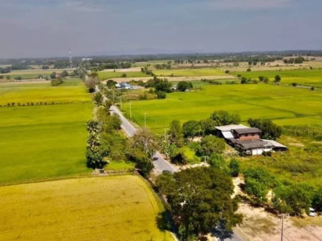 ขายที่ดินบ้านนา โยธาธิการ100 ตรว ผ่อนได้ทนครนายก