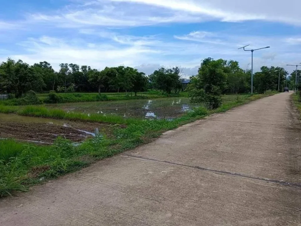 ขายที่ดินบ้านใหญ่ เนื้อที่ 126 ตรวติดถนนคอนกรีต วิวเขาใหญ่