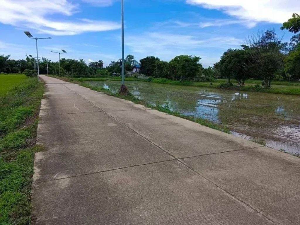 ขายที่ดินบ้านใหญ่ เนื้อที่ 126 ตรวติดถนนคอนกรีต วิวเขาใหญ่