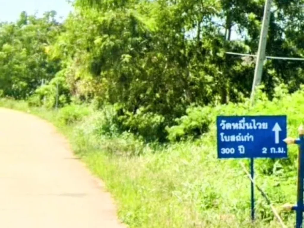 ที่ดินเหมาะสำหรับธุรกิจ ในเมืองนครราชสีมา