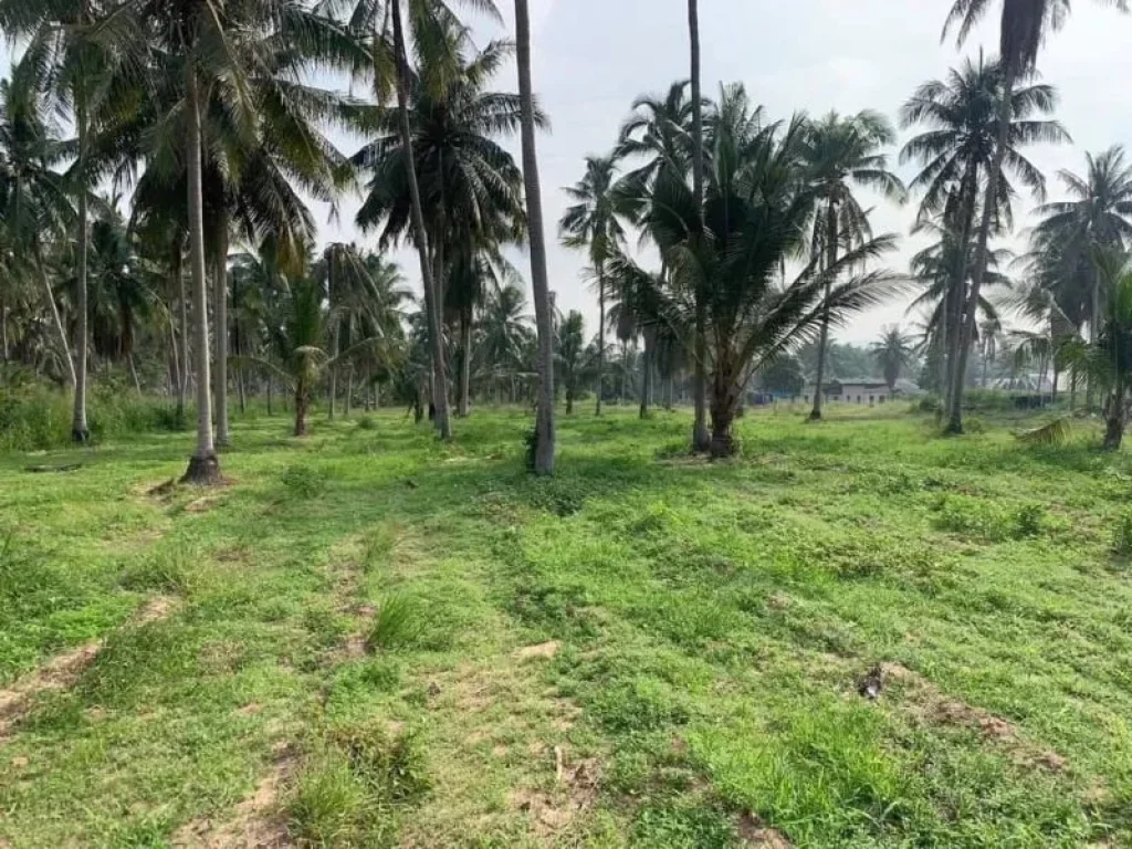 ขายที่ดินโป่ง บางละมุงเนื้อที่ 1 ไร่ ใกล้ถนนมอเตอร์เวย์7ด่าน