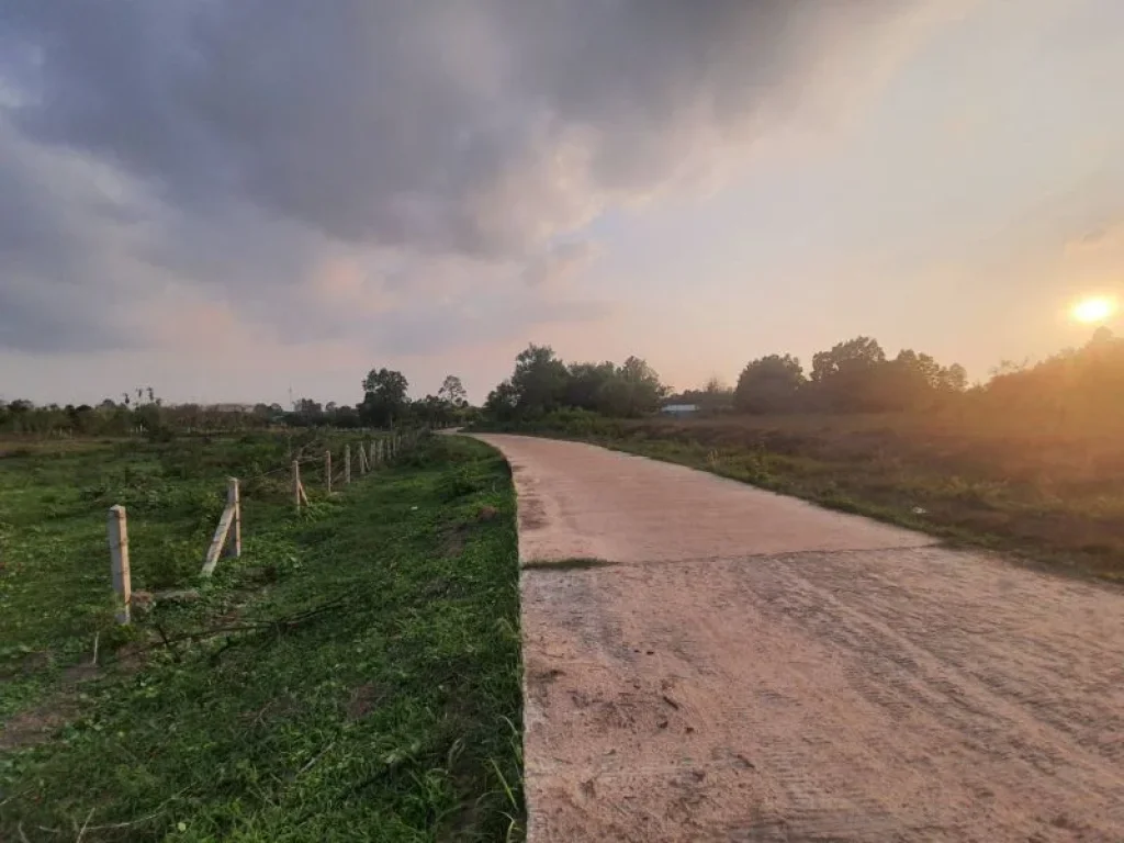 ขายที่ดินเขาหินซ้อน 14 ไร่ ติดถนนคอนกรีตติดโรงเรียนบ้านชำขวา