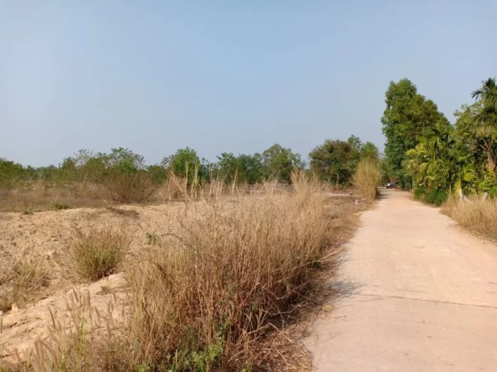 ขายที่ดินเขาหินซ้อน 14 ไร่ ติดถนนคอนกรีตติดโรงเรียนบ้านชำขวา