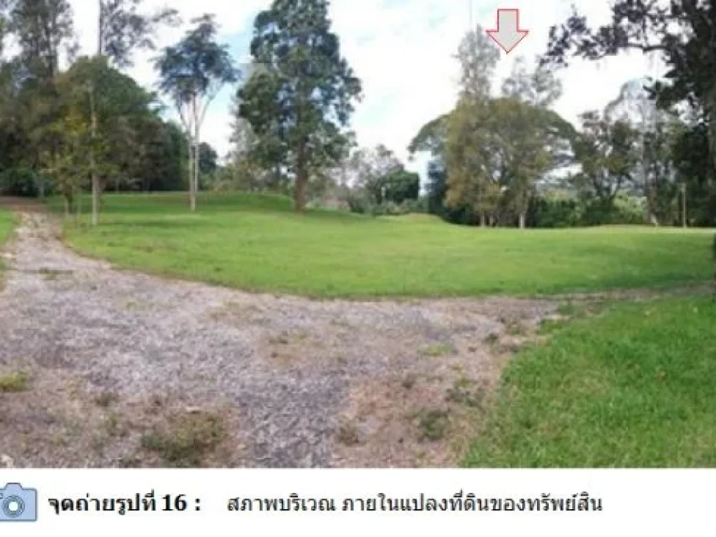 ขายที่ดินพร้อมสิ่งปลูกสร้าง 41-1-30ไร่ ถหางดง-สะเมิง กม 26