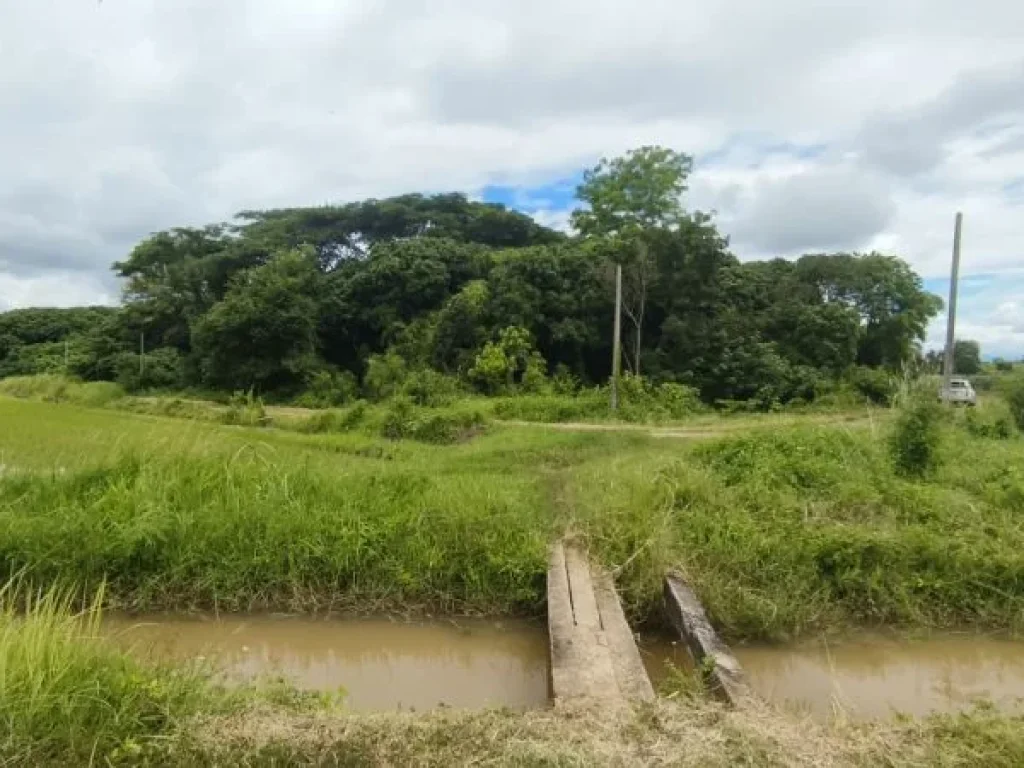 ขาย ที่ดิน ใกล้ตัวเมืองเชียงราย - 3 ไร่ ที่ดินแปลงเกษตรขายถู