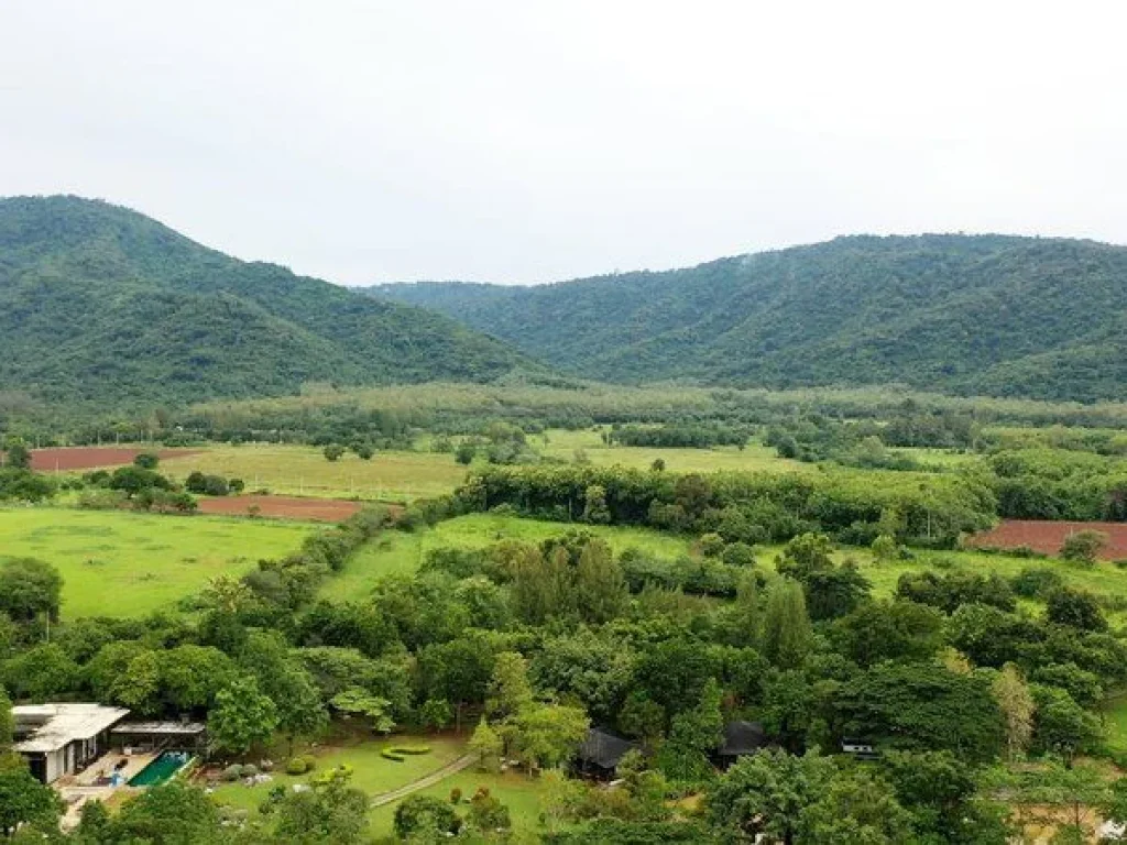 ขาย ที่ดินเขาใหญ่ โครงการอายตะ วิวอุทยานเขาใหญ่ อยู่ติดชาโต