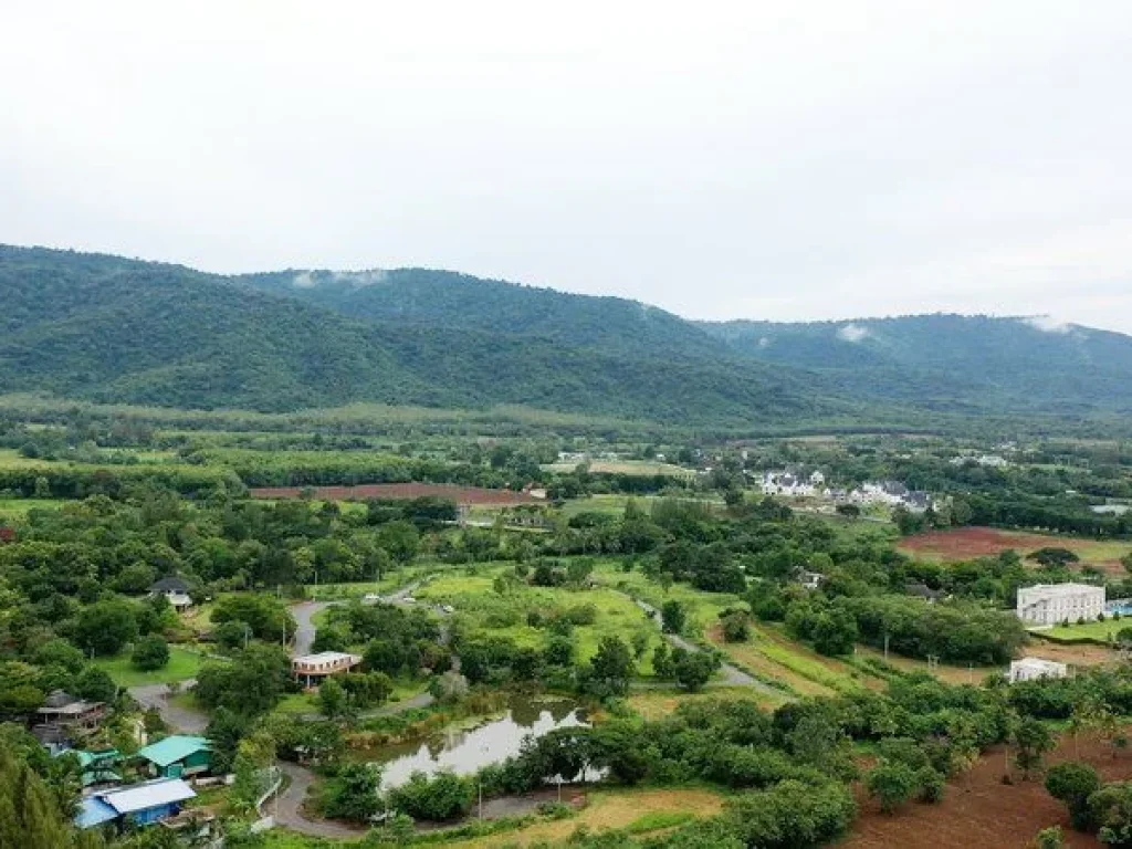 ขาย ที่ดินเขาใหญ่ โครงการอายตะ วิวอุทยานเขาใหญ่ อยู่ติดชาโต