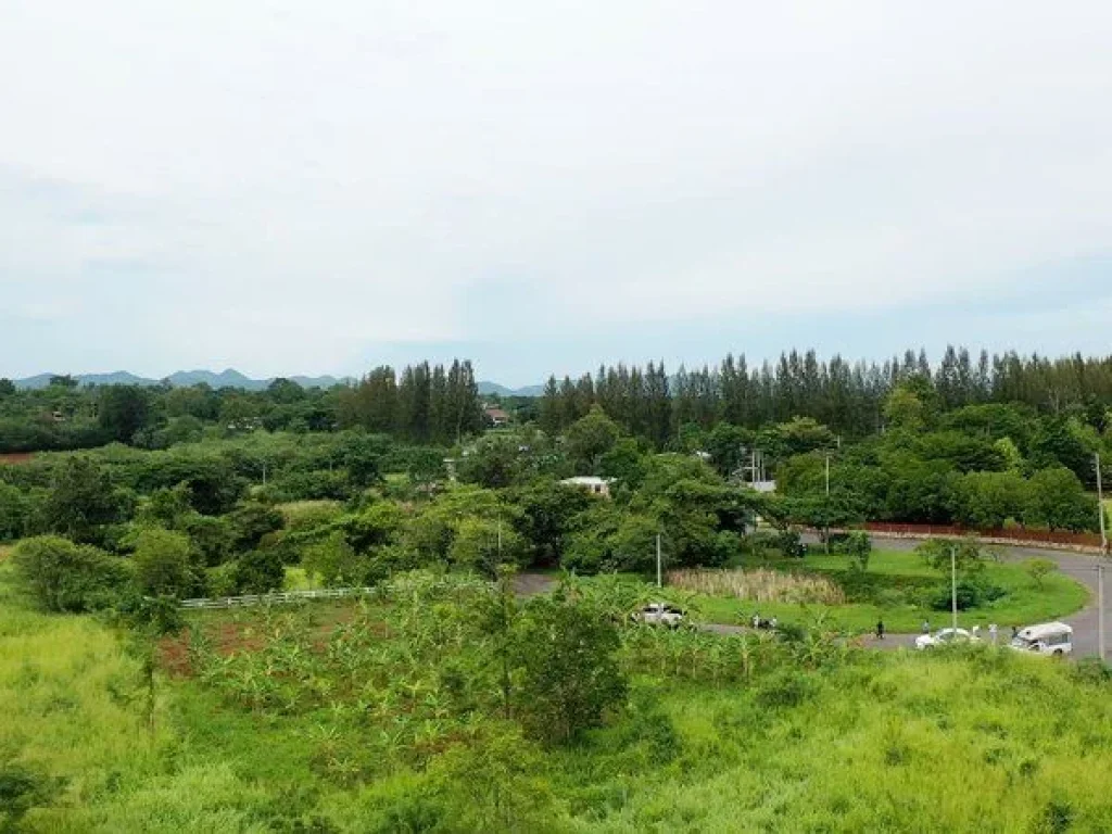 ขาย ที่ดินเขาใหญ่ โครงการอายตะ วิวอุทยานเขาใหญ่ อยู่ติดชาโต