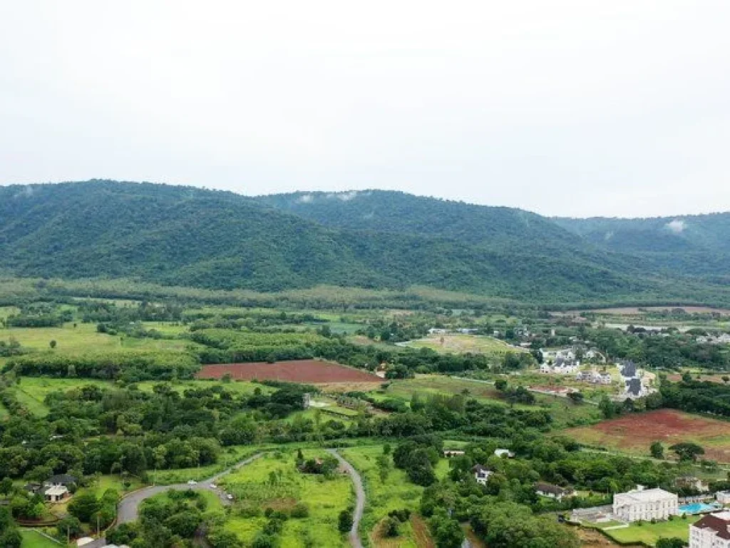 ขาย ที่ดินเขาใหญ่ โครงการอายตะ วิวอุทยานเขาใหญ่ อยู่ติดชาโต