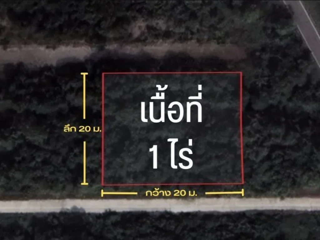 ขายที่ดิน 1 ไร่ คลองสี่ คลองหลวง ปทุมธานี ใกล้มอเตอร์เวย์