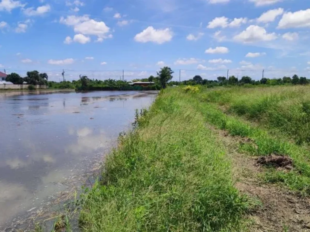 ขาย ที่ดิน ติดถนน 3 ด้าน หนองจอก สุวินทวงศ์ ร่วมพัฒนา 1