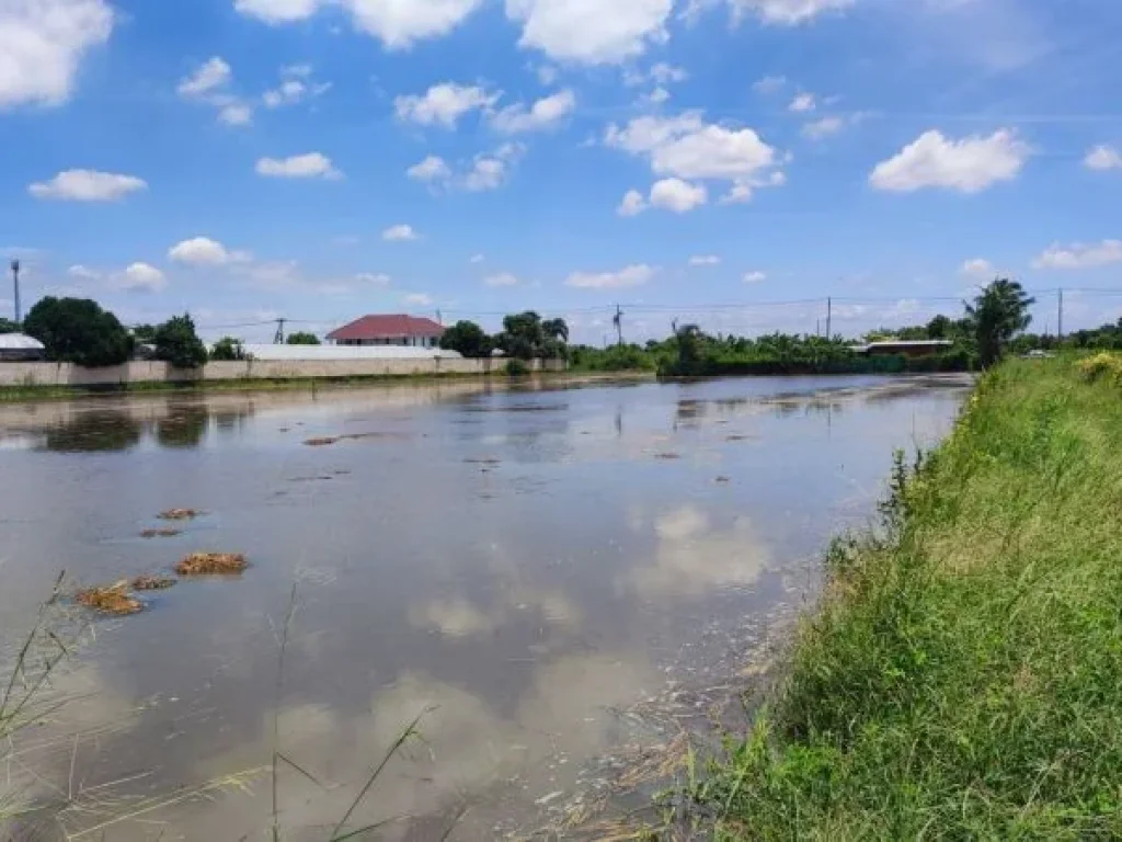 ขาย ที่ดิน ติดถนน 3 ด้าน หนองจอก สุวินทวงศ์ ร่วมพัฒนา 1