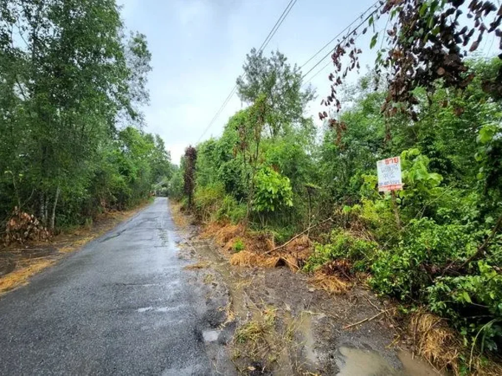 ขายที่ดิน โครงการราชประชา ถนนมิตรภาพ ตําบลปากช่อง