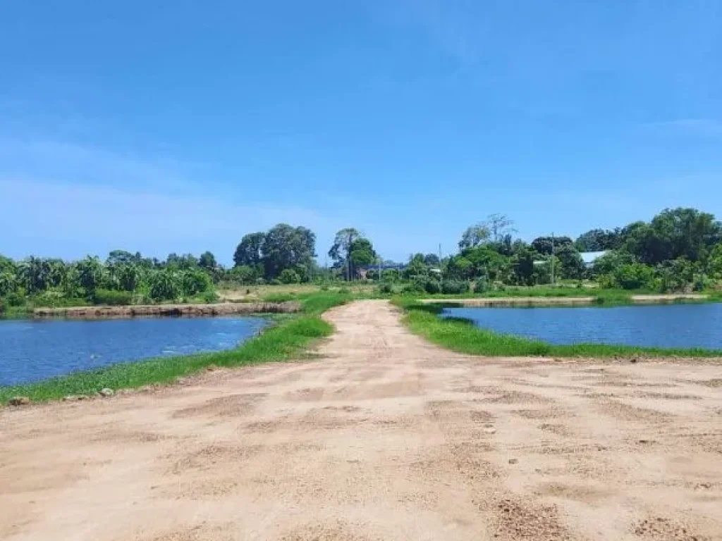 ประกาศขายที่ดินจังหวัดระยอง พื้นที่ 31 ไร่ ใกล้หาดแม่รำพึง