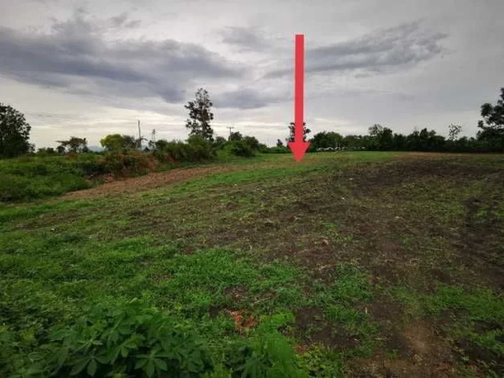 ขายที่ดินทำเลทอง ติดถนนลาดยาง อบ้านหมี่ จลพบุรี