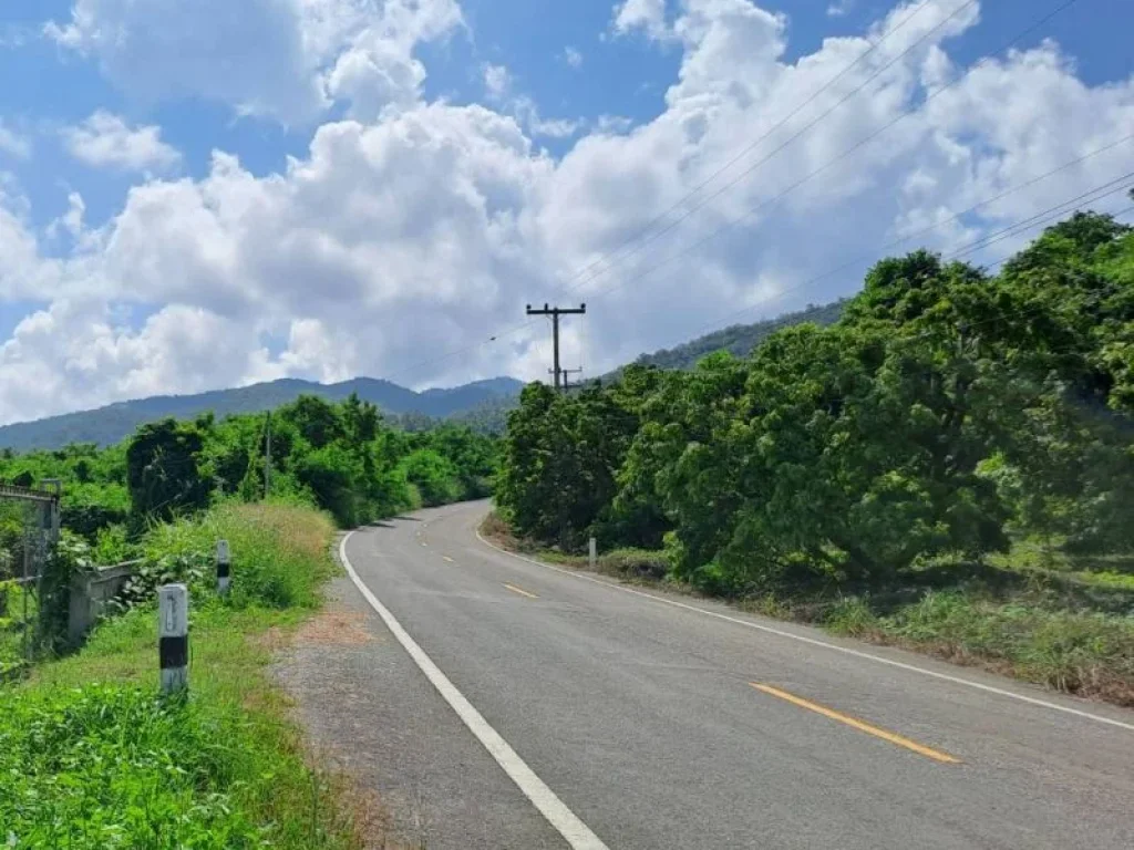 ขายสวนลำไยวิวสวยภูเขาล้อมรอบ ไฟฟ้าน้ำบาดาลพร้อม บ้านห้วยไฟ