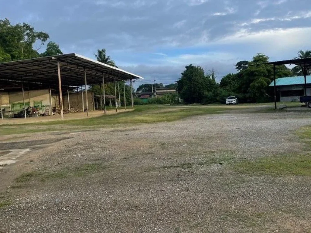 ขายที่ดิน 6 ไร่ ตำบลมะขามหลวง อำเภอสันปาตอง จังหวัดเชียงใหม่