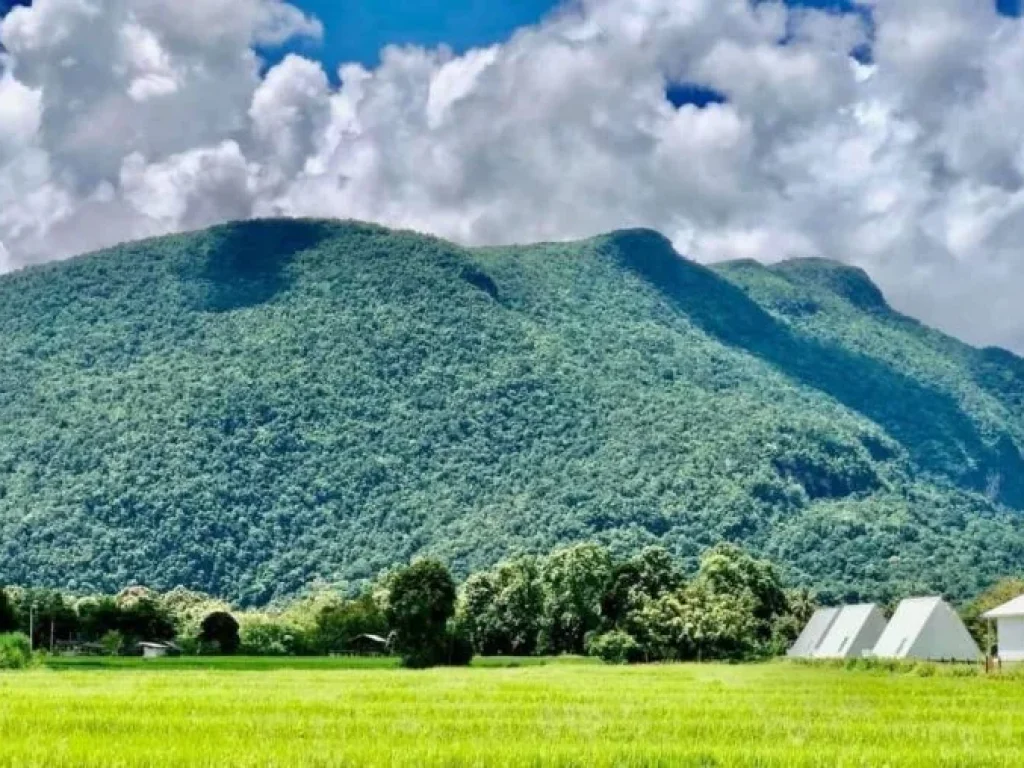 ขายที่ดินพร้อมบ้านพักกิจการรีสอร์ทวิวดอยหลวง และดอยนาง