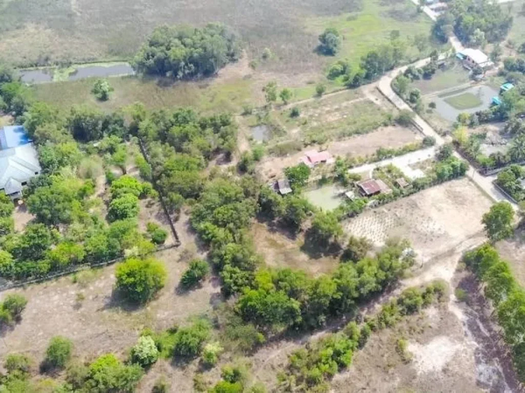 ขายที่ดินแปลงใหญ่ ทำเลทอง ราคาดีที่สุดย่านเมืองอุดรธานี