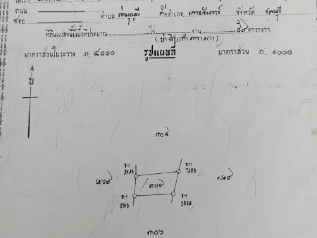 ขายด่วนบ้านพร้อมที่ดิน ติด รรวัดท่าบุญมี ห่างถนน 331 เพียง