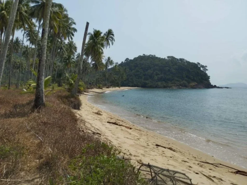 ขาย ที่ดิน ใกล้หาดมาก บนเกาะช้าง ที่ดิน บนเกาะช้าง 24 ไร่ 2