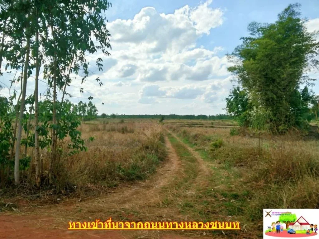 ที่ทำเกษตรผืนใหญ่ 70-2-35ไร่ ดินดี การเดินทางสะดวก ตหนองหลวง