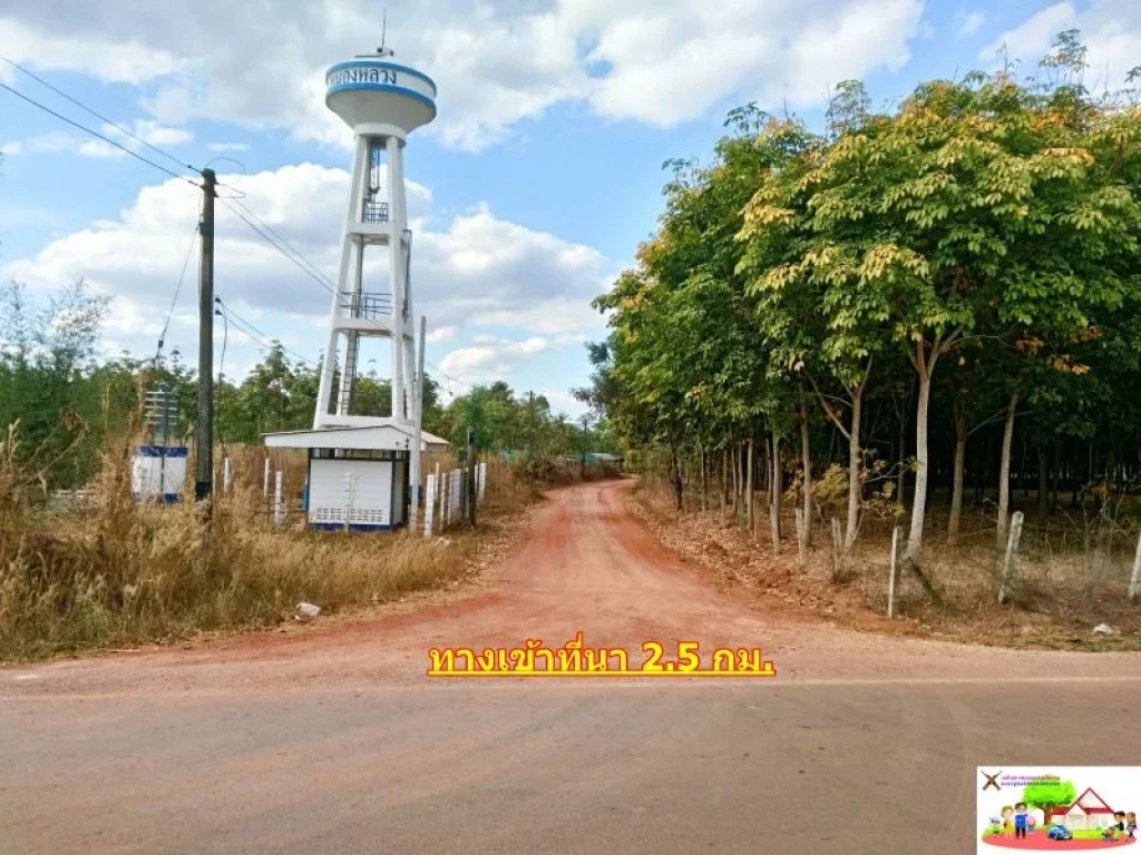 ที่ทำเกษตรผืนใหญ่ 70-2-35ไร่ ดินดี การเดินทางสะดวก ตหนองหลวง