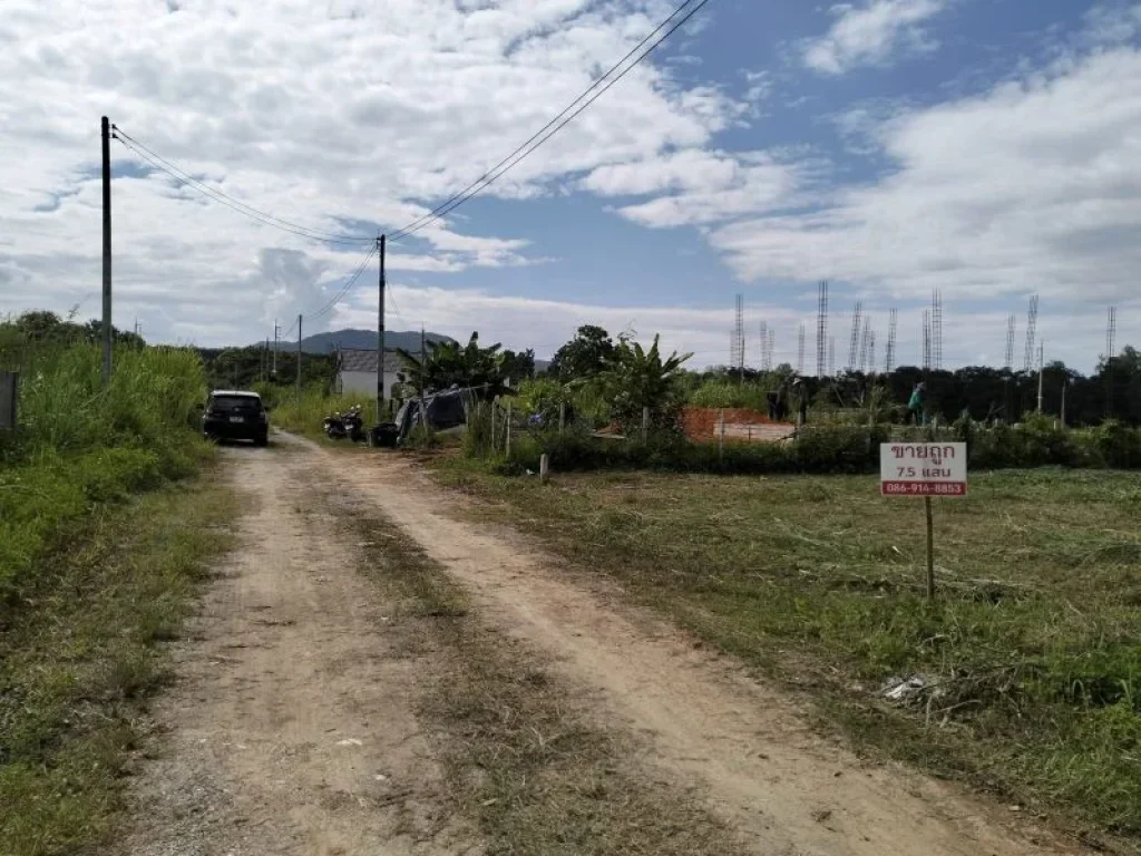 ขายด่วน ถูกมาก ที่ดินปรับถมแล้ว ในโครงการ บ้านสันมะนะ