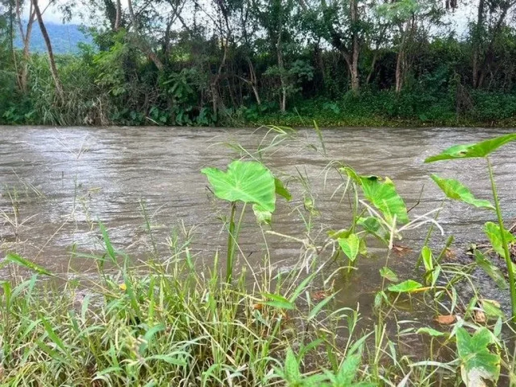 ที่ดินริมแม่น้ำวิวดอยภูคาใกล้แหล่งท่องเที่ยวอปัว