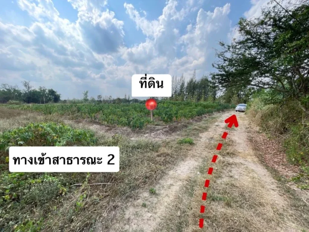 ขายที่ดินโฉนด 4 ไร่ 2 งาน 79 ตรว อสวนผึ้ง จราชบุรี ไร่ละ