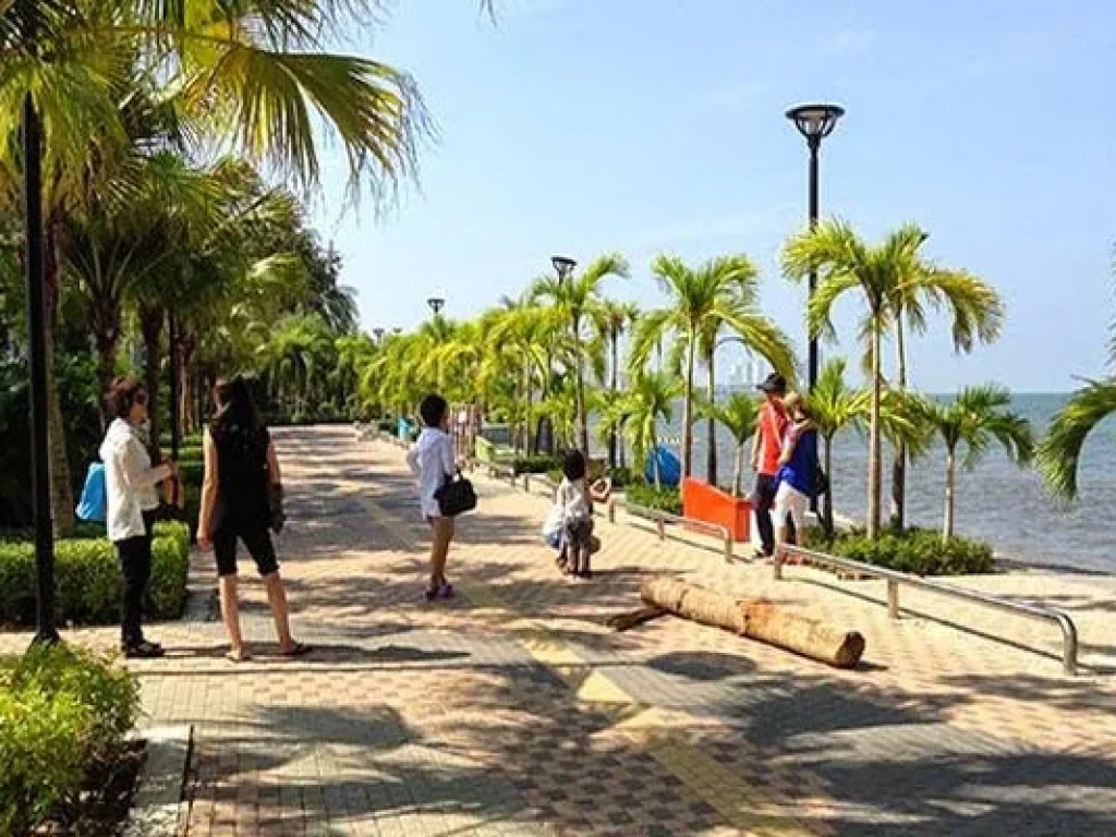 ที่ดินแปลงสวย ริมชายหาดกระทิงลาย บางละมุง พัทยา เนื้อที่