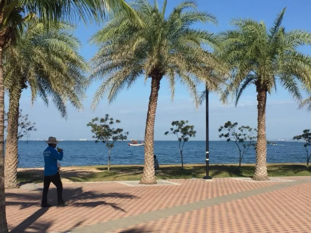 ที่ดินแปลงสวย ริมชายหาดกระทิงลาย บางละมุง พัทยา เนื้อที่