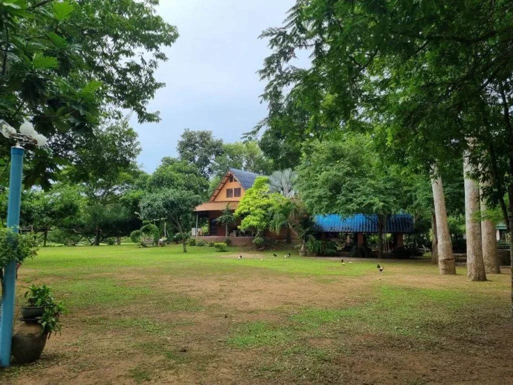 บ้านสวน ทำเลทอง ติดลำคลองธรรมชาติ ใกล้หาดบ้านอำเภอ บางเสร่