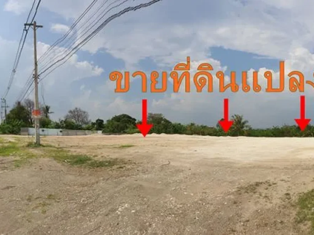 ขายที่ดินเขาใหญ่ ที่ดินติดถนนนิคมลำตะคลอง-หนองสาหร่าย