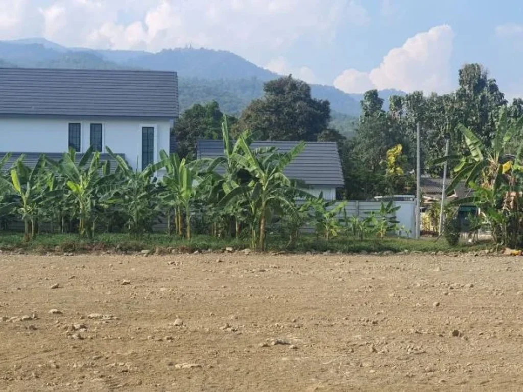 ที่ดินโซนด้านหลังมหาวิทยาลัยเชียงใหม่ ใกลล้ถนนคลองชลประทาน