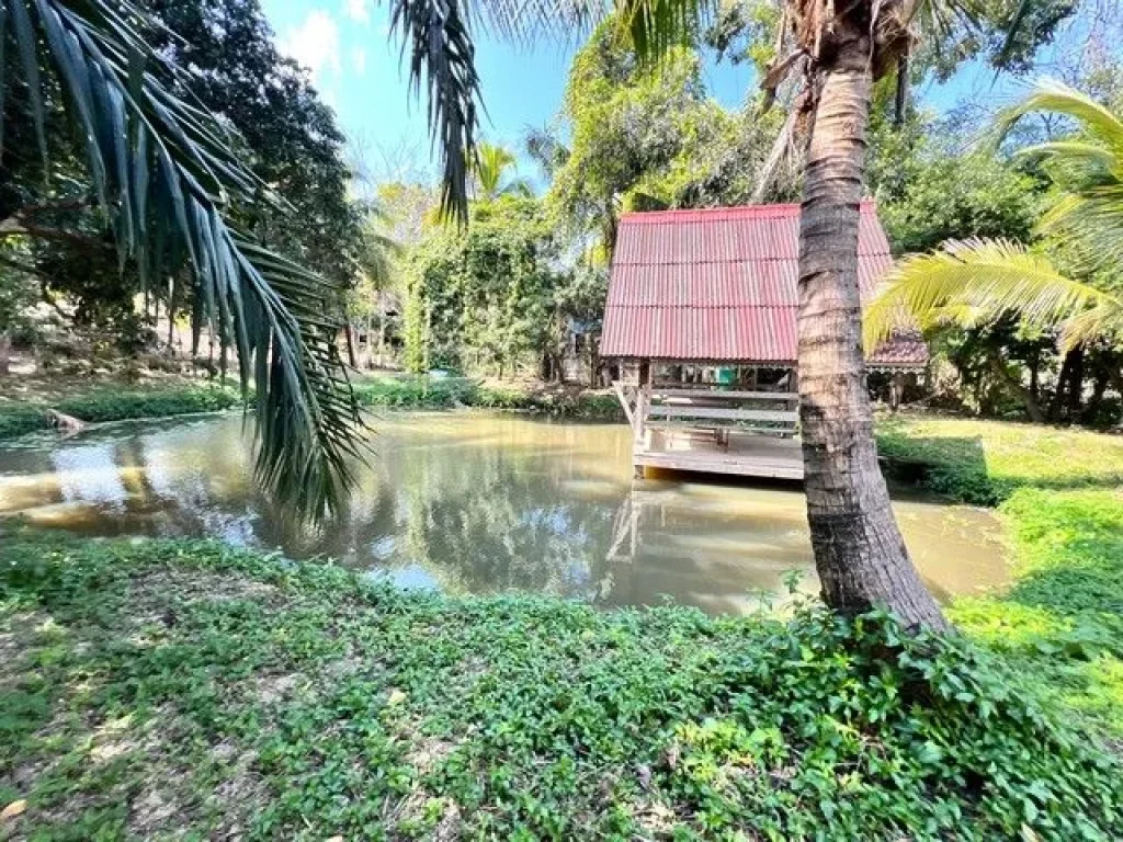 ที่ดินแปลงสวย ใกล้ใจกลางเมืองใกล้ชิดธรรมชาติ