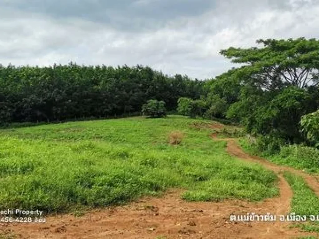 ขายที่ดินสวย 25-2-58 ไร่ บรรยากาศดี ใกล้ ไร่พีบีวัลเล่ย์