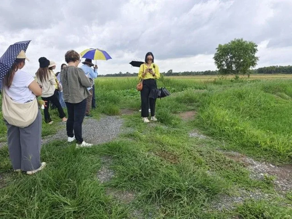 ขายที่ดินแปลงสวย คลอง12 หนองเสือ เหมาะแก่สร้างบ้านในฝัน ขนาด