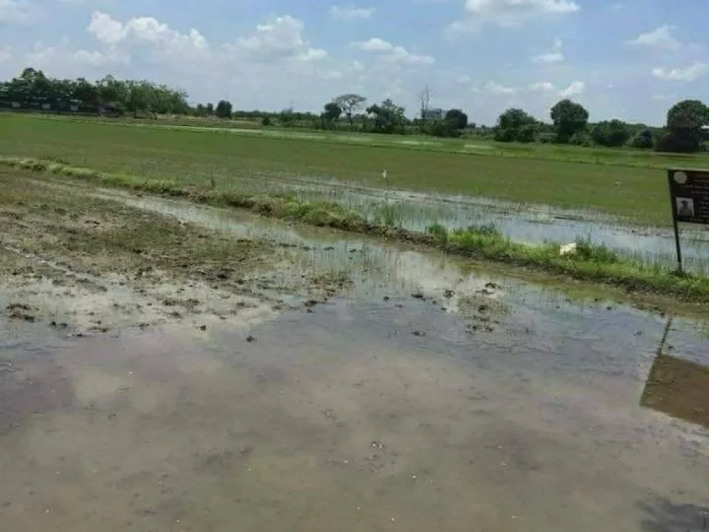 ขายที่ดิน 30 ไร่ ติดถนนเลียบคลอง 10 ธัญบุรี