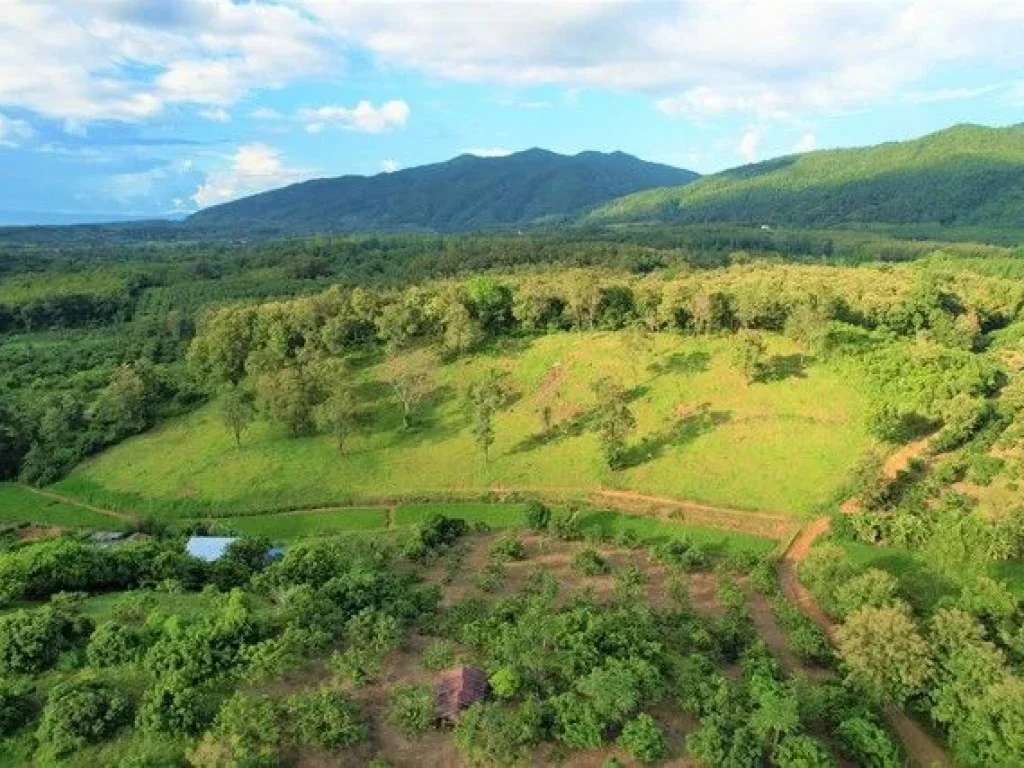 ขายที่ดินแปลงสวยบนดอยสูงสวยงาม ให้บรรยากาศท่ามกลางวิวภูเขาล้