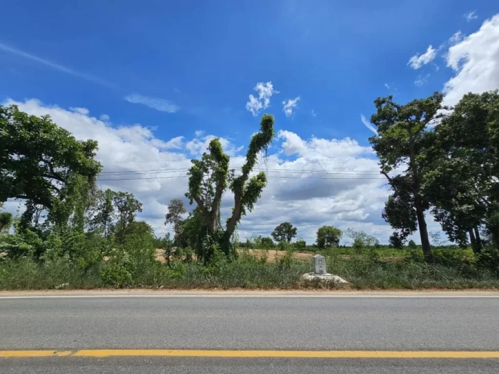 ขายที่ดิน ปักธงชัย ติดถนนลาดยาง วิวภูเขา ใกล้ จิม ทอมป์สัน