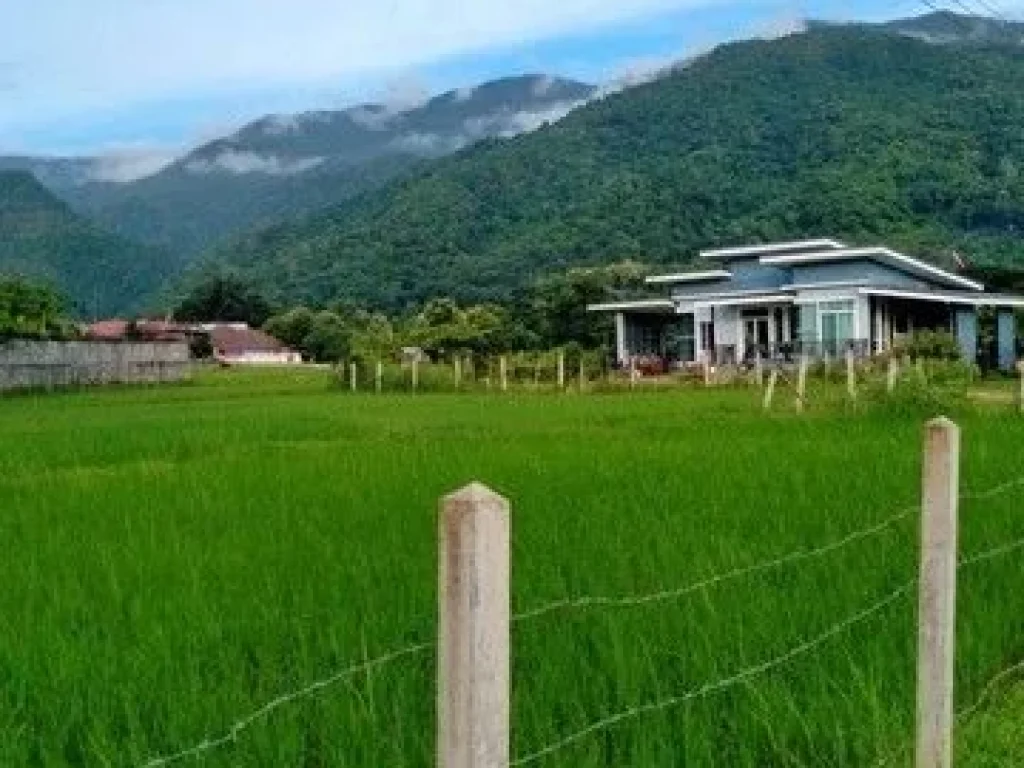 ที่ดินติดถนนใหญ่วิวดอยภูคา เหมาะสำหรับทำร้านคา คาเฟ่